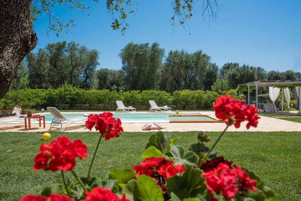 TRULLO CHEFMARCO PRIVATE/SALTWATER SWIMMING POOL