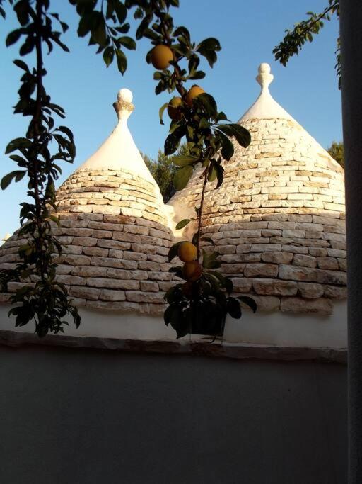 TRULLO CHEFMARCO PRIVATE/SALTWATER SWIMMING POOL
