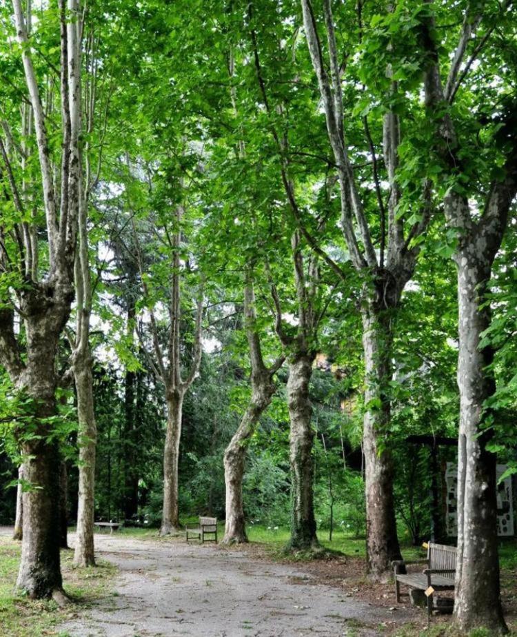Residenza La Cascata