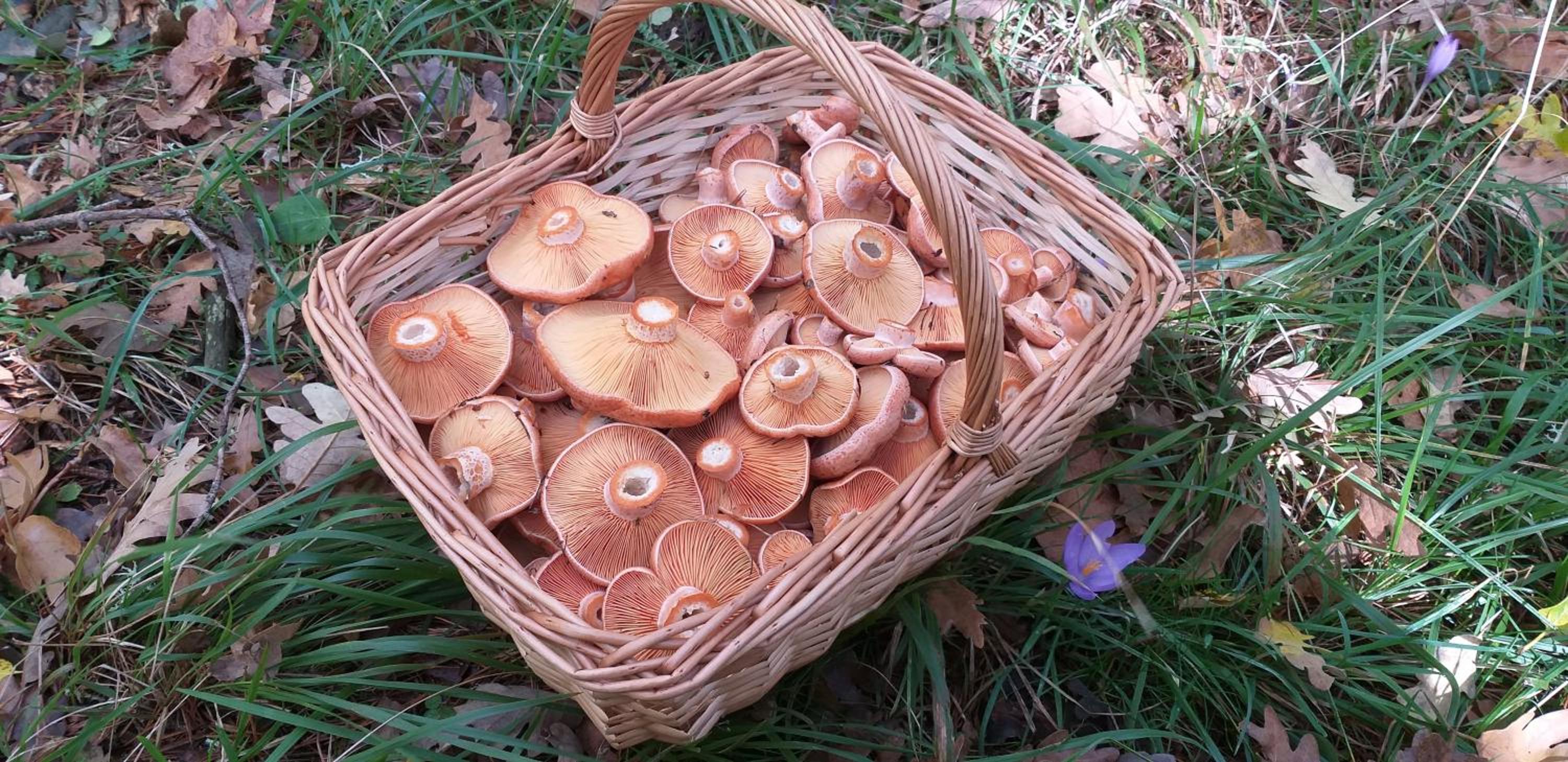 Hostal Rio Duero