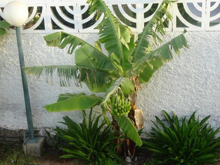 Las Tuneras Apartamento en San Agustín