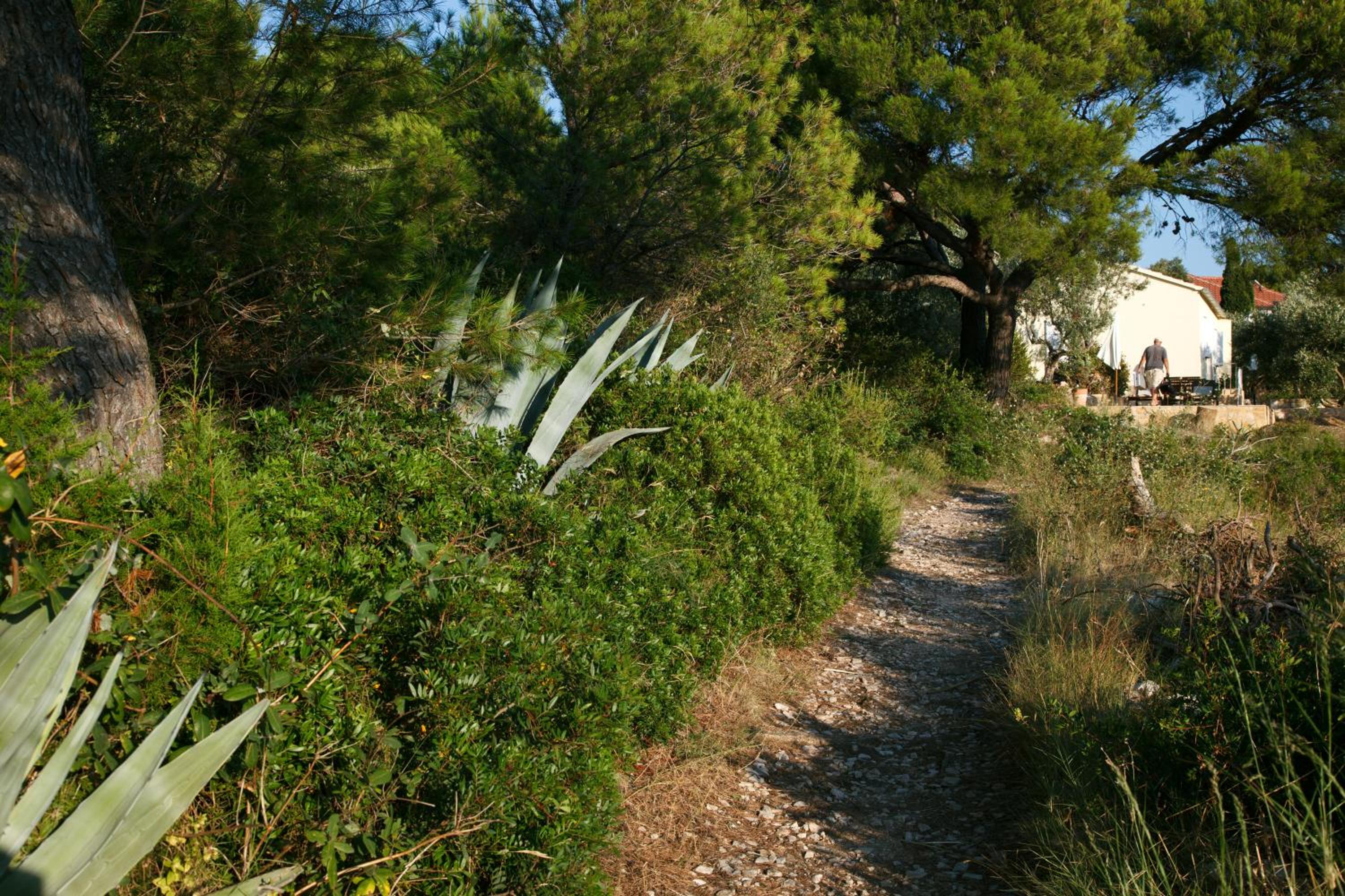 Photo 31