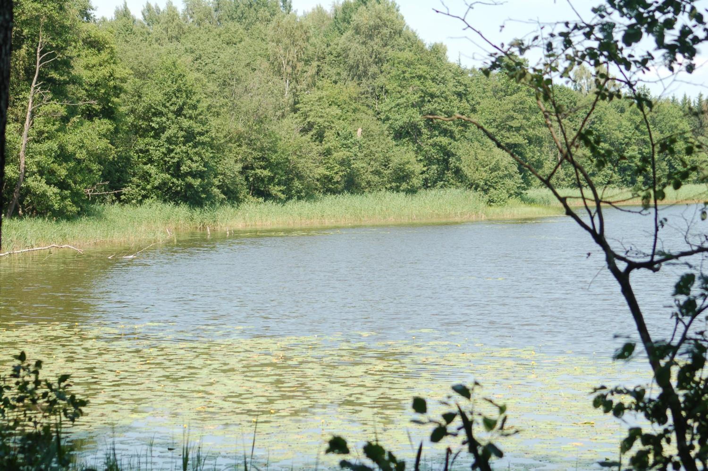 Puszcza Romincka dom z duszą