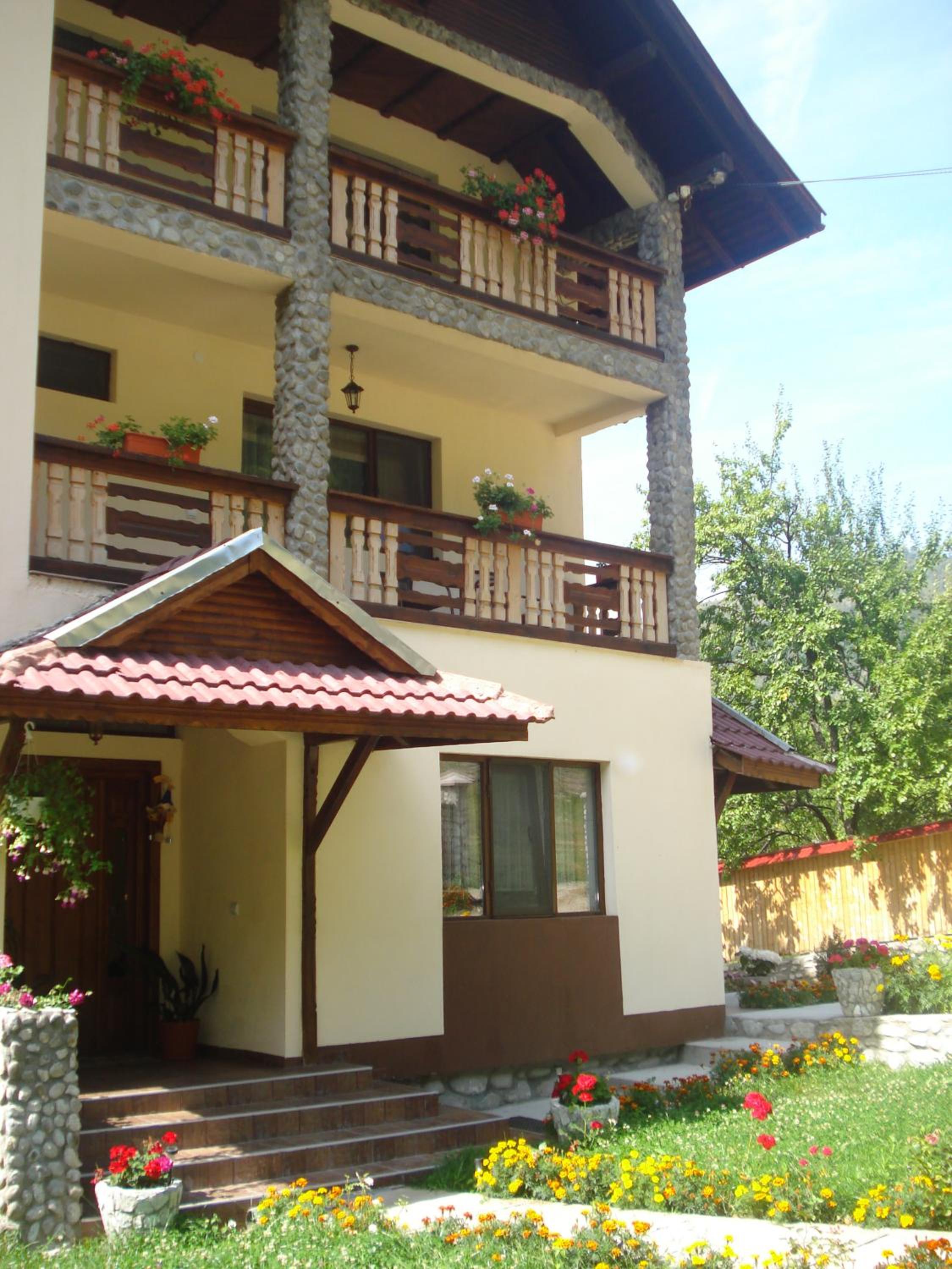 Photo 7