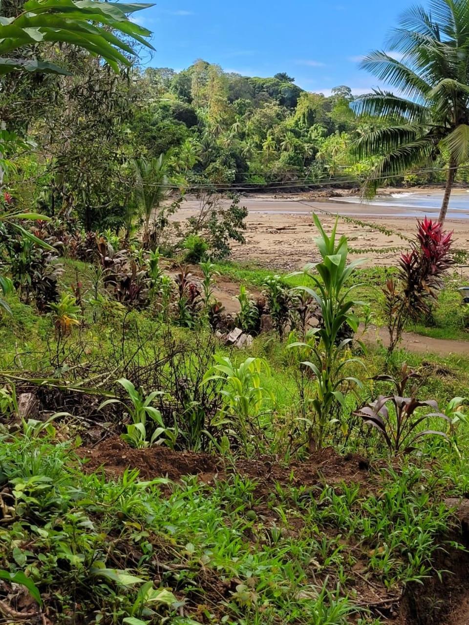 Osa Corcovado Lodge
