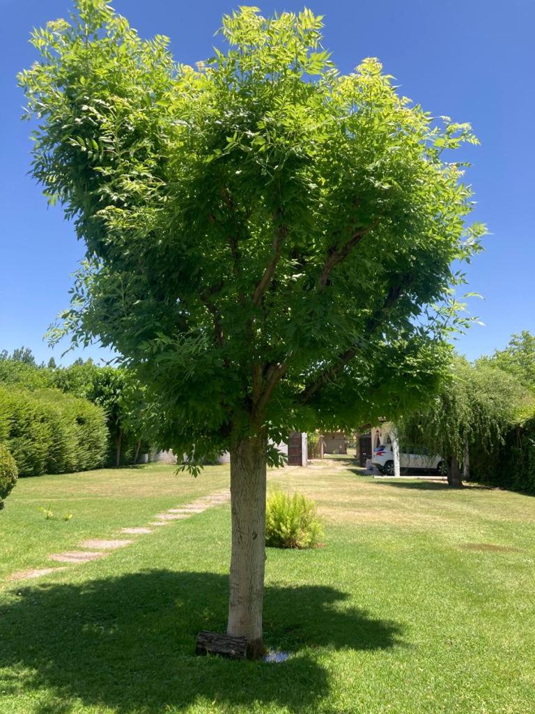 NUESTRA CASA EN CHACRAS DE CORIA (Bª PRIVADO)
