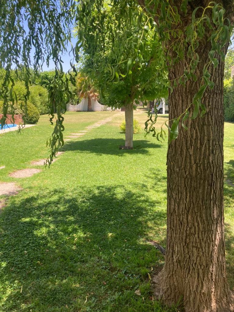 NUESTRA CASA EN CHACRAS DE CORIA (Bª PRIVADO)