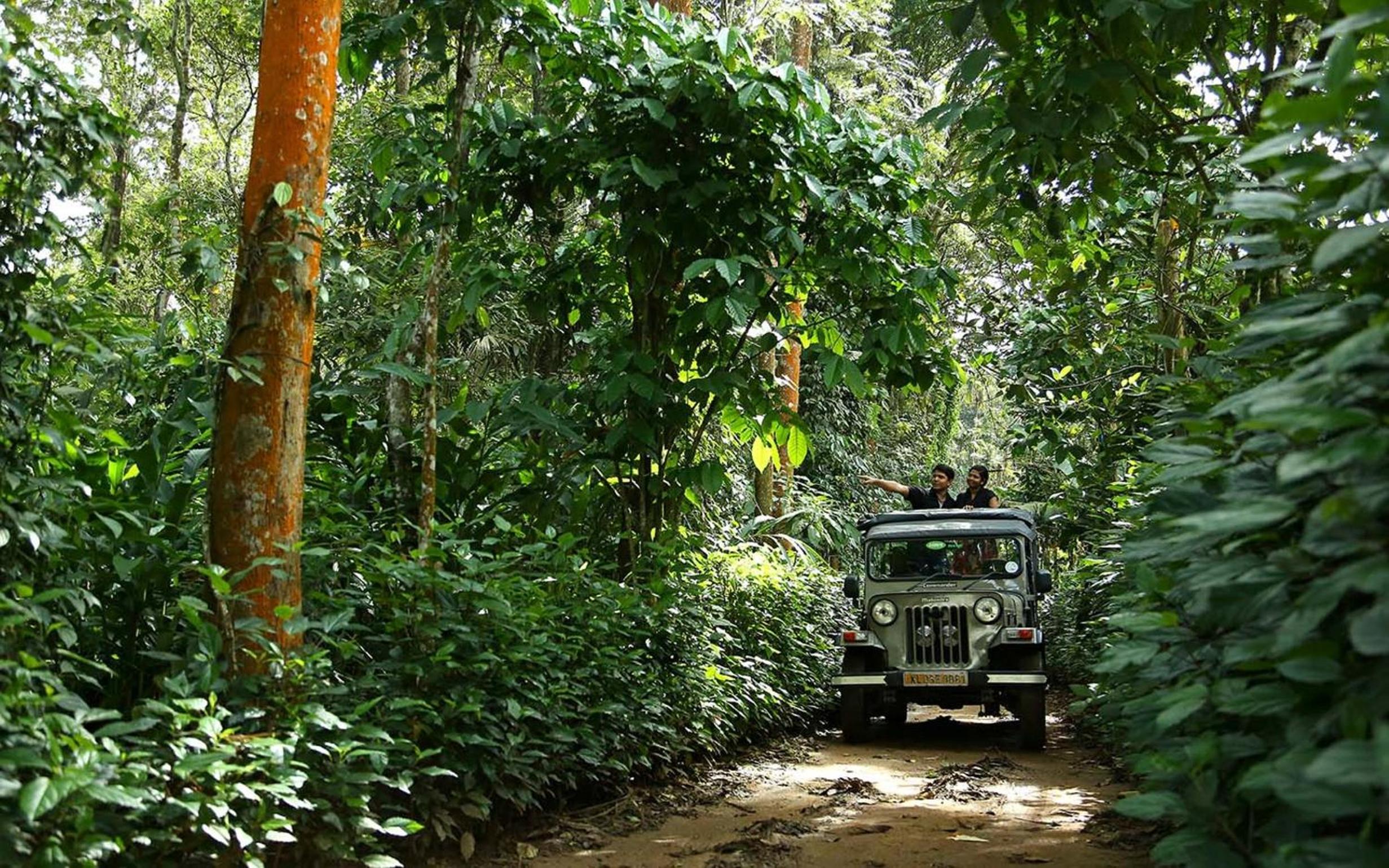 Thekkady Vacations - Elephant Court Thekkady - Property Image 24