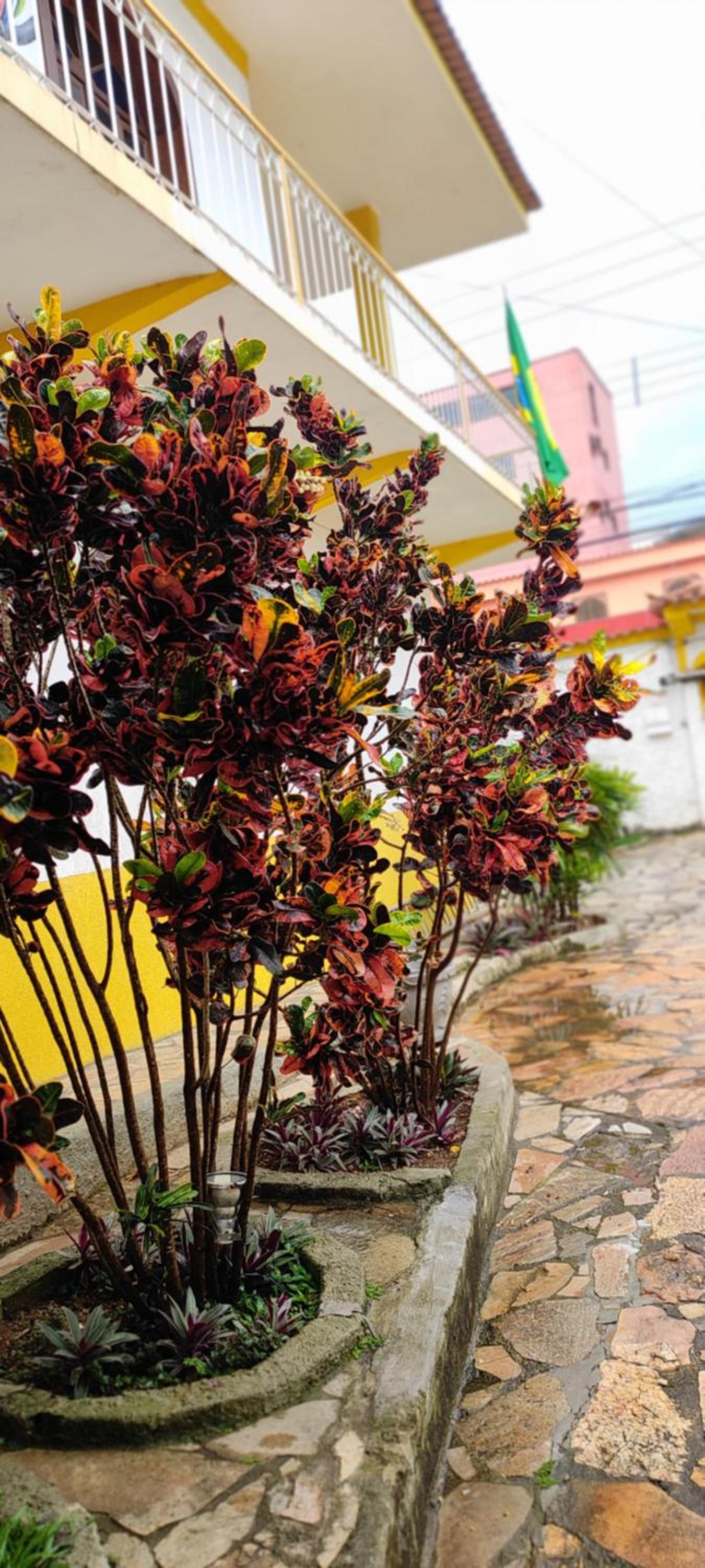 Raio de Sol