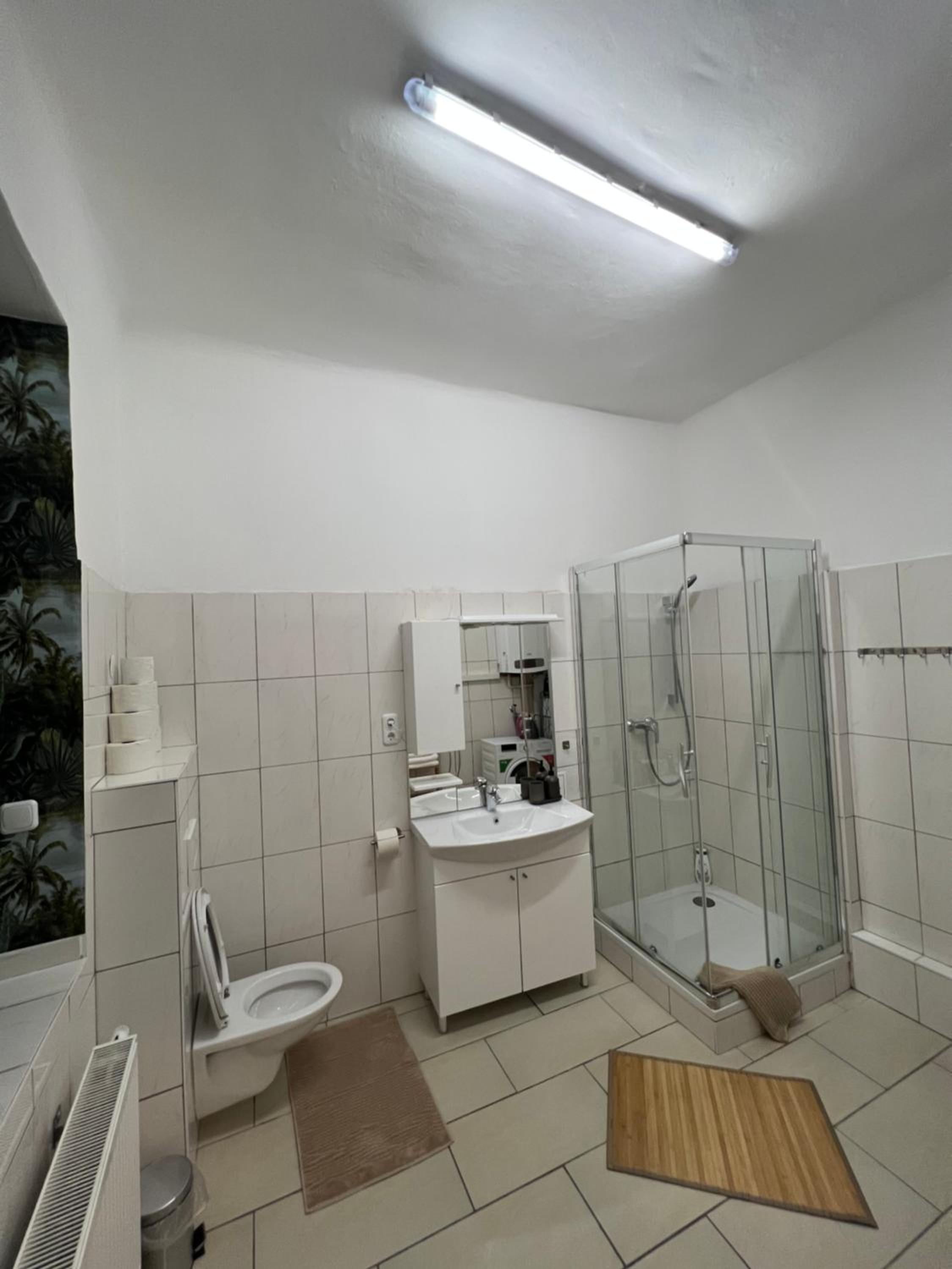 Spacious & Deluxe big apartment near Prater
