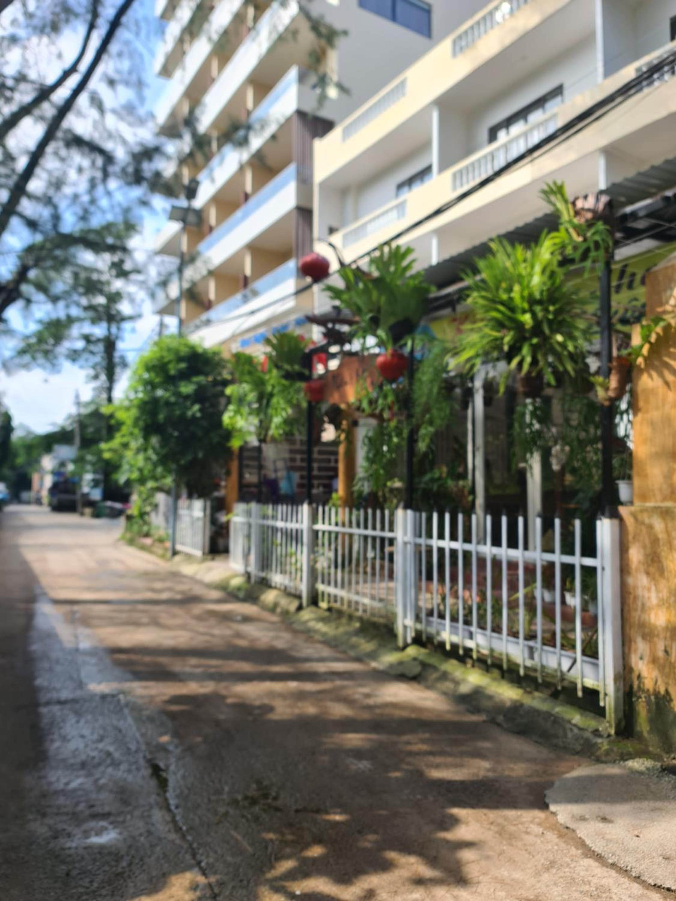 Kim Lien Phu Quoc Guesthouse