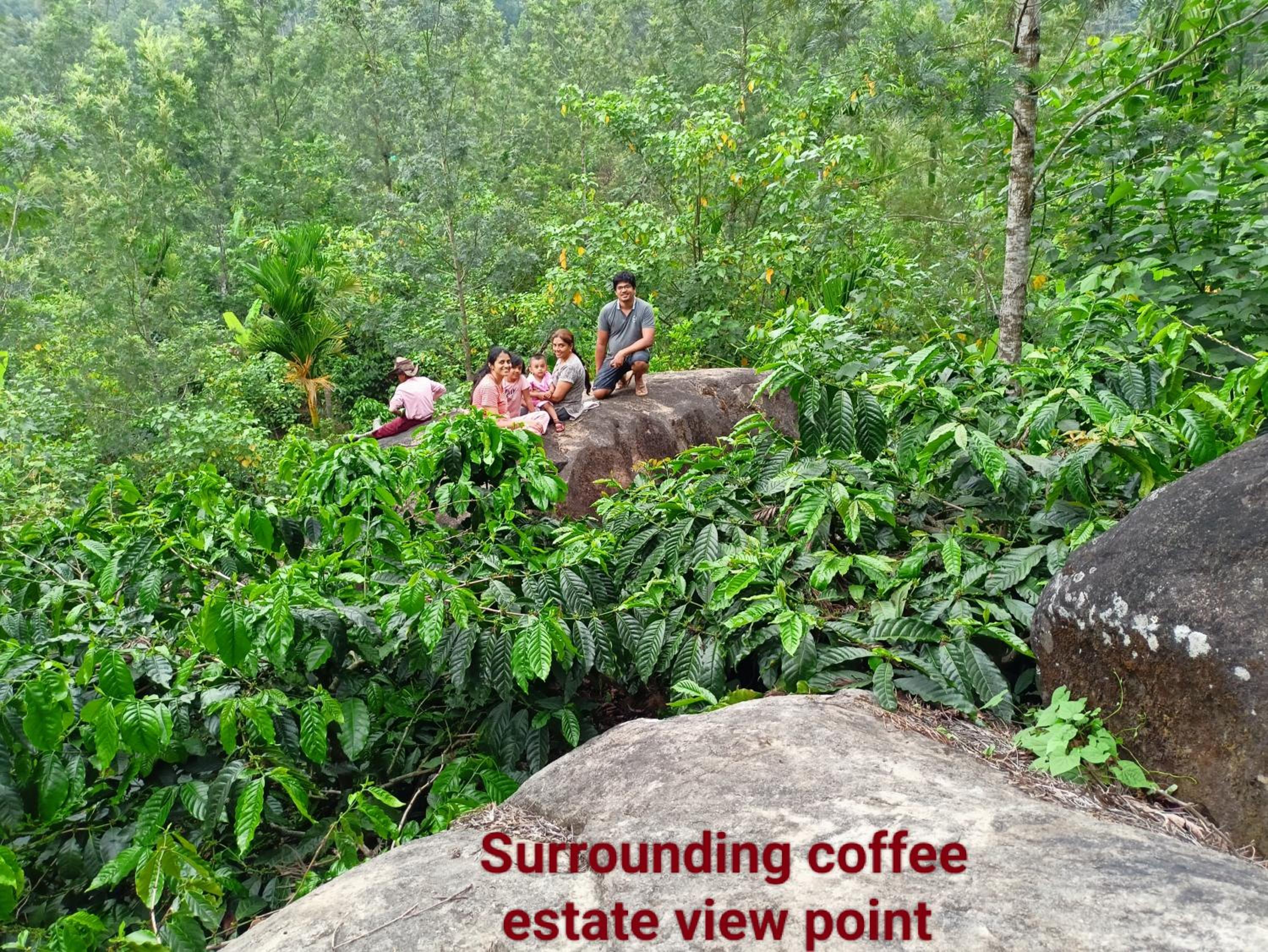 Doddakallu Betta Homestay Coorg view 2