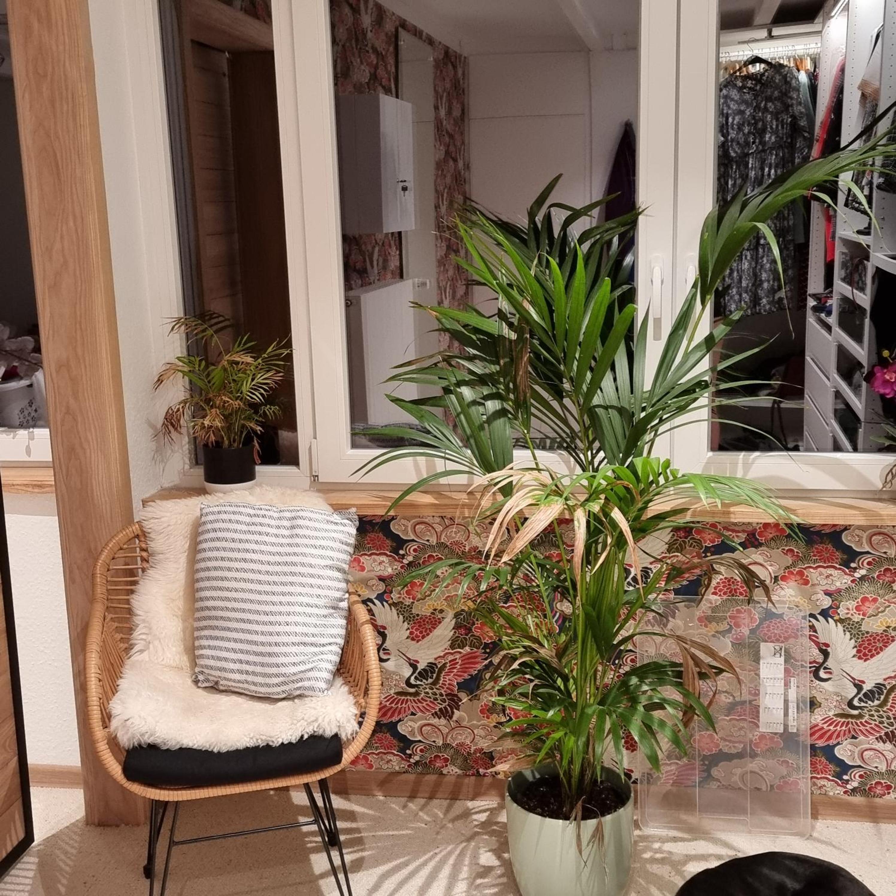 Exklusive Ferienwohnung Hattorfer Teiche