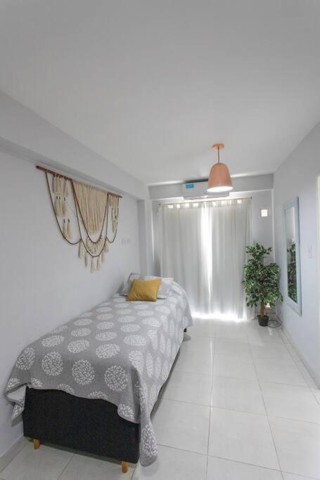 Local Experience in SMDT - cerca de Casa Historica