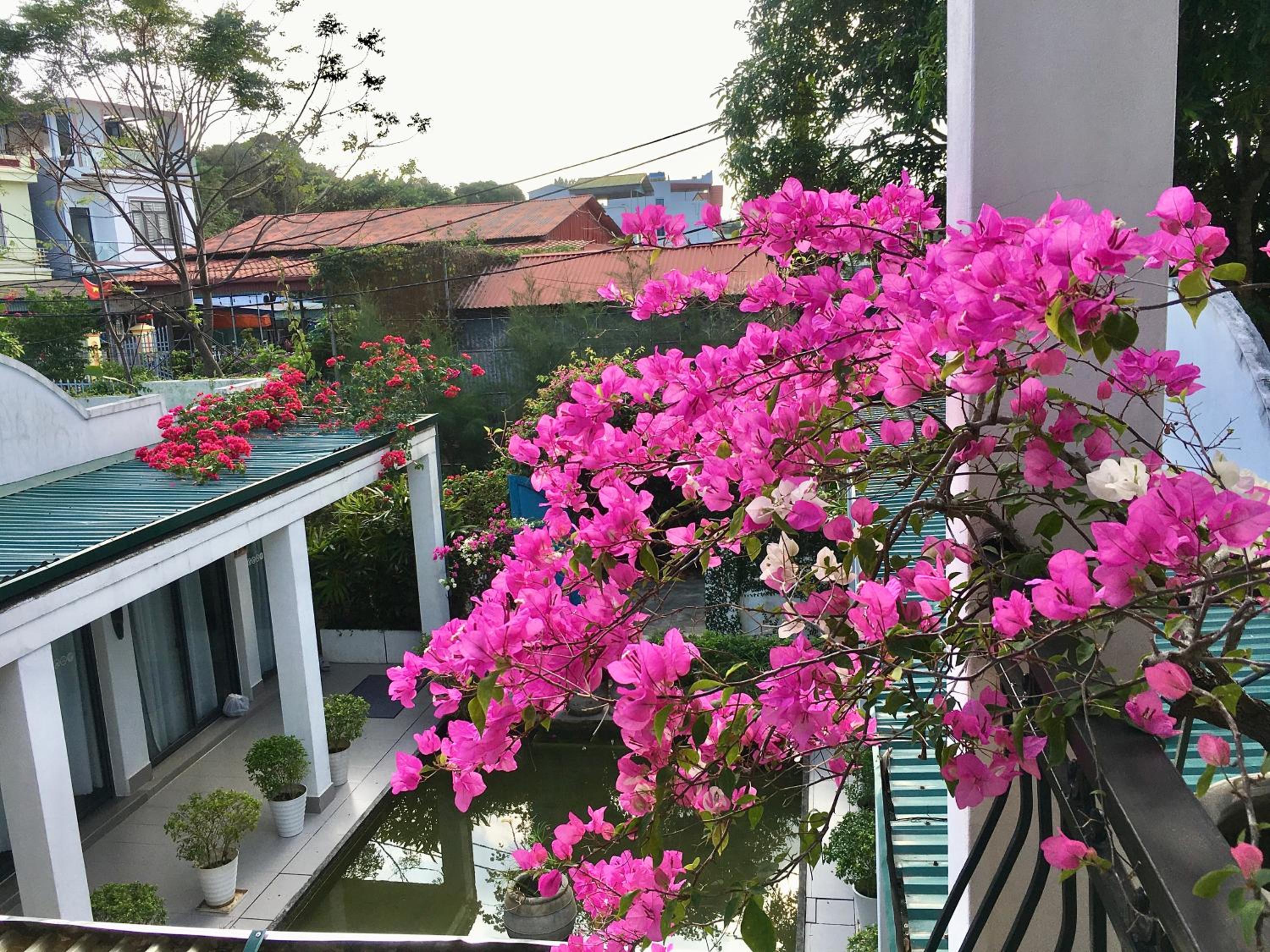 Photo 171