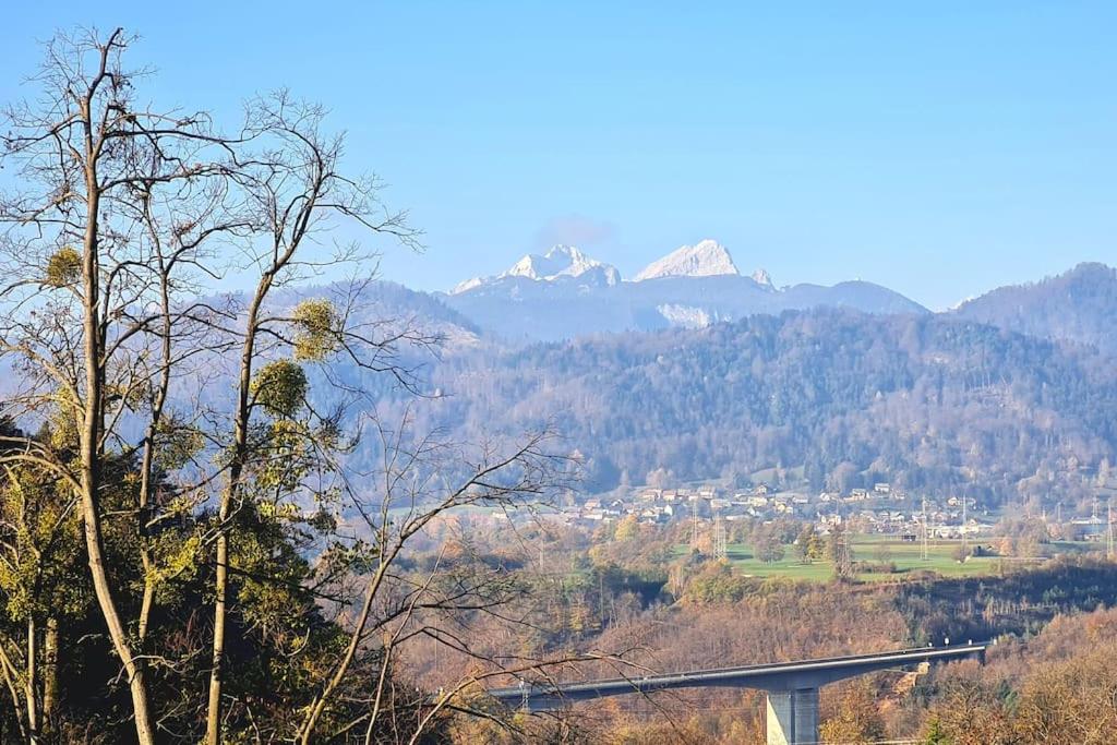 Apartma Juli view 4