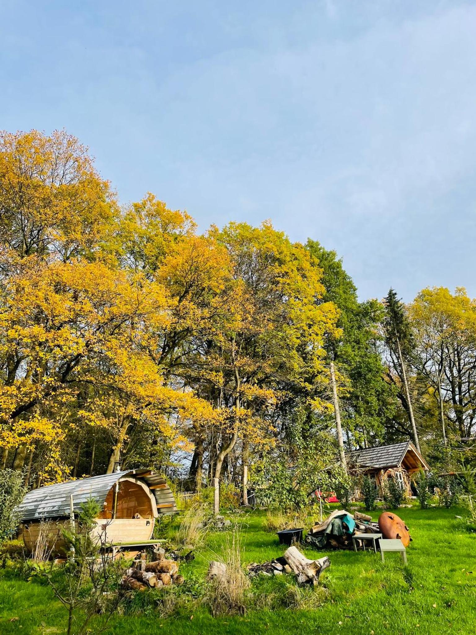 Tiny House/Waldhaus - Westerwald