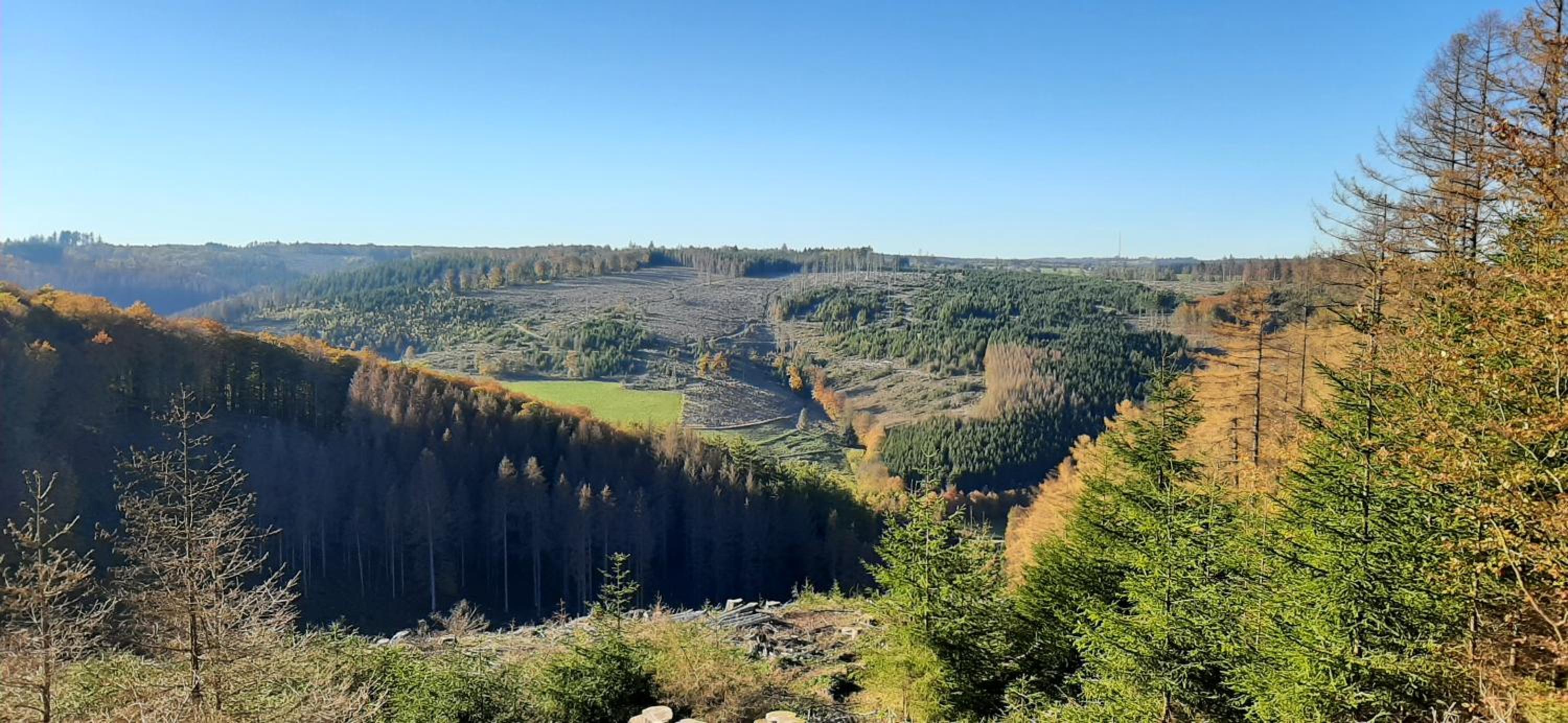 Ferienwohnung Schöne Aussicht am Rothaarsteig