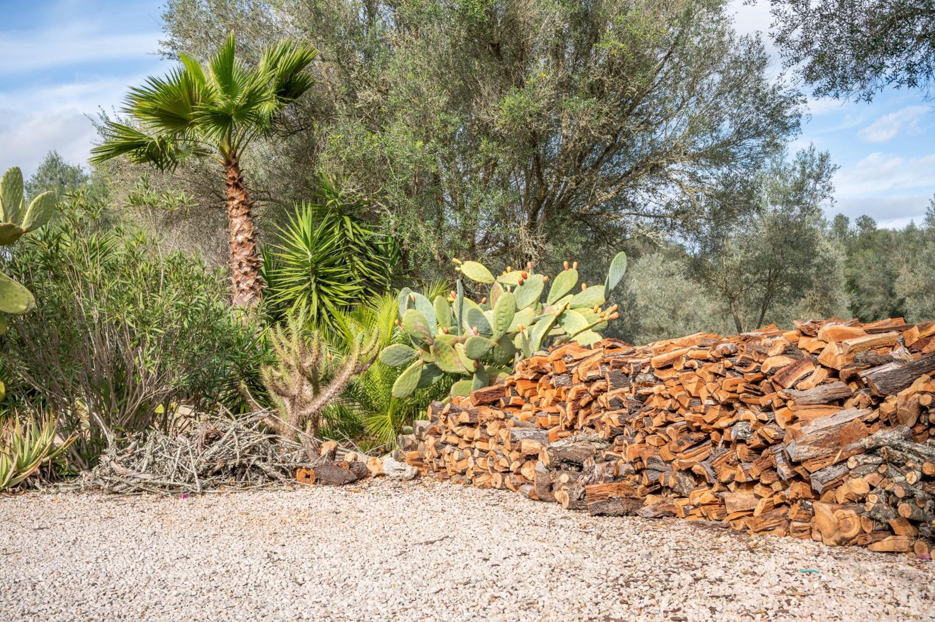 Casa Cascada