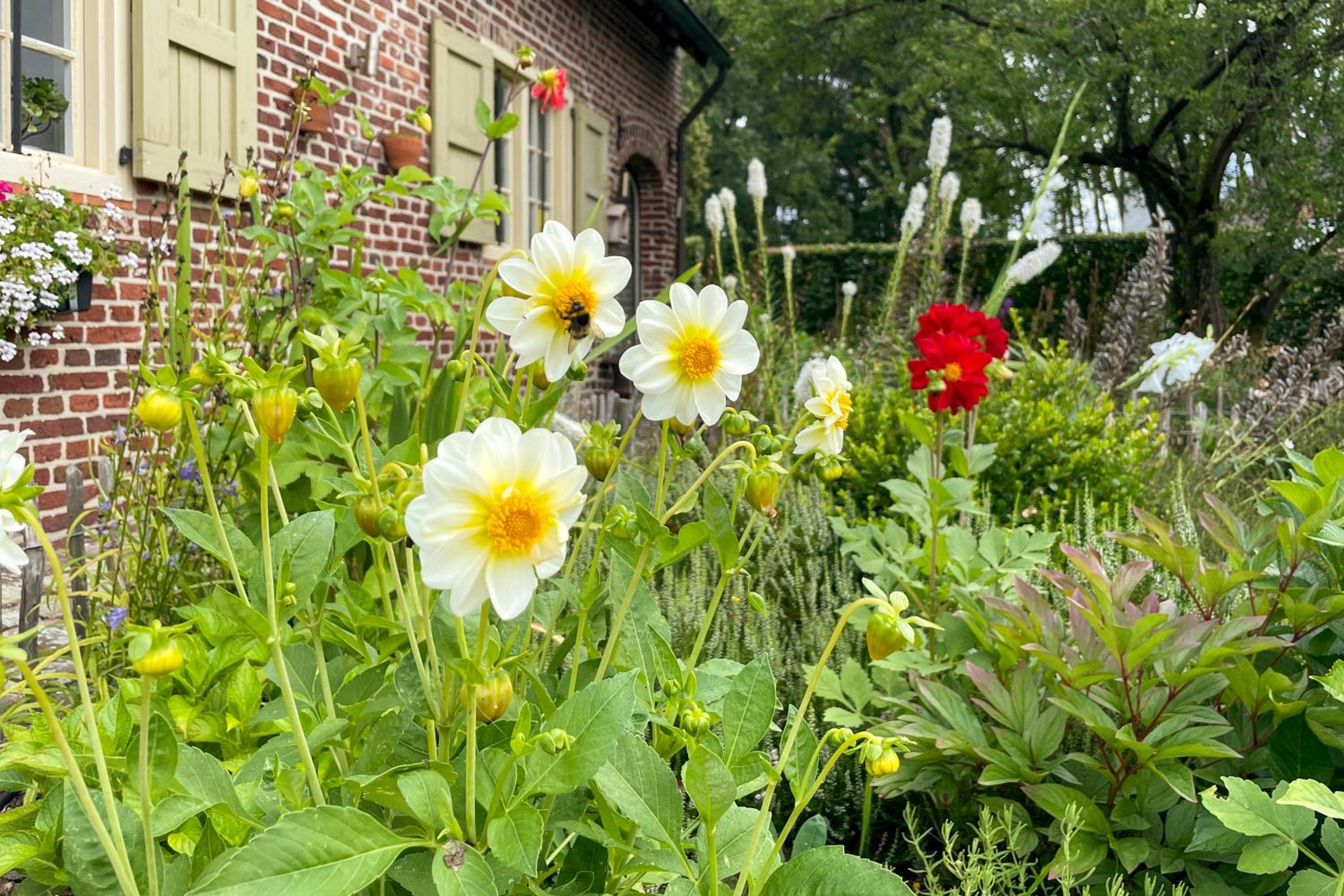 B&B De Paenhoeve