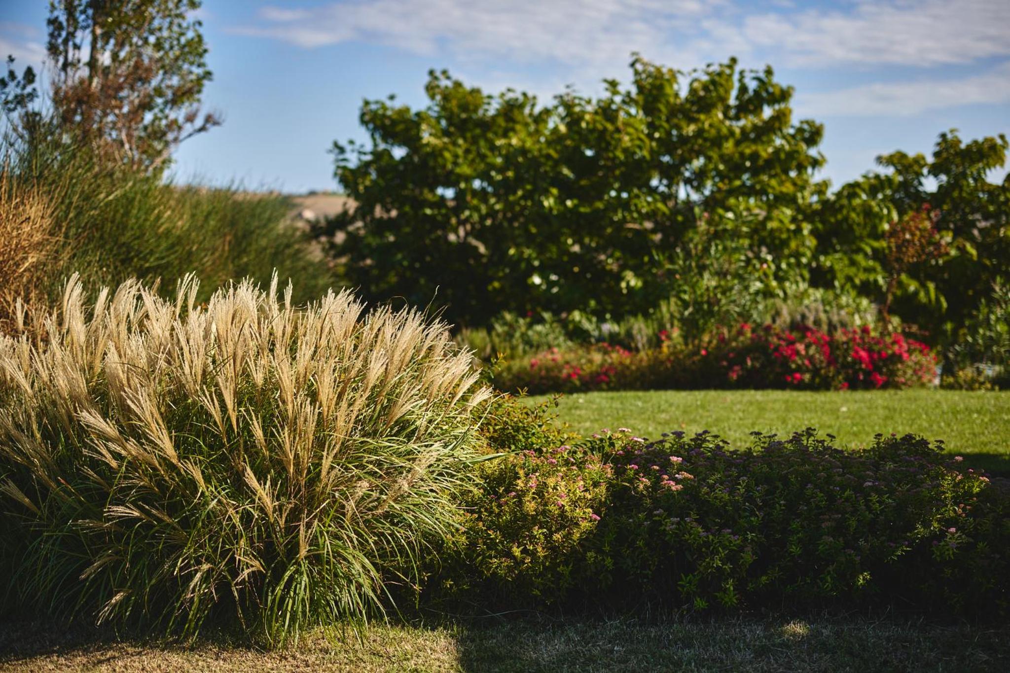 Borgo della Spiga - Adult Friendly Country House