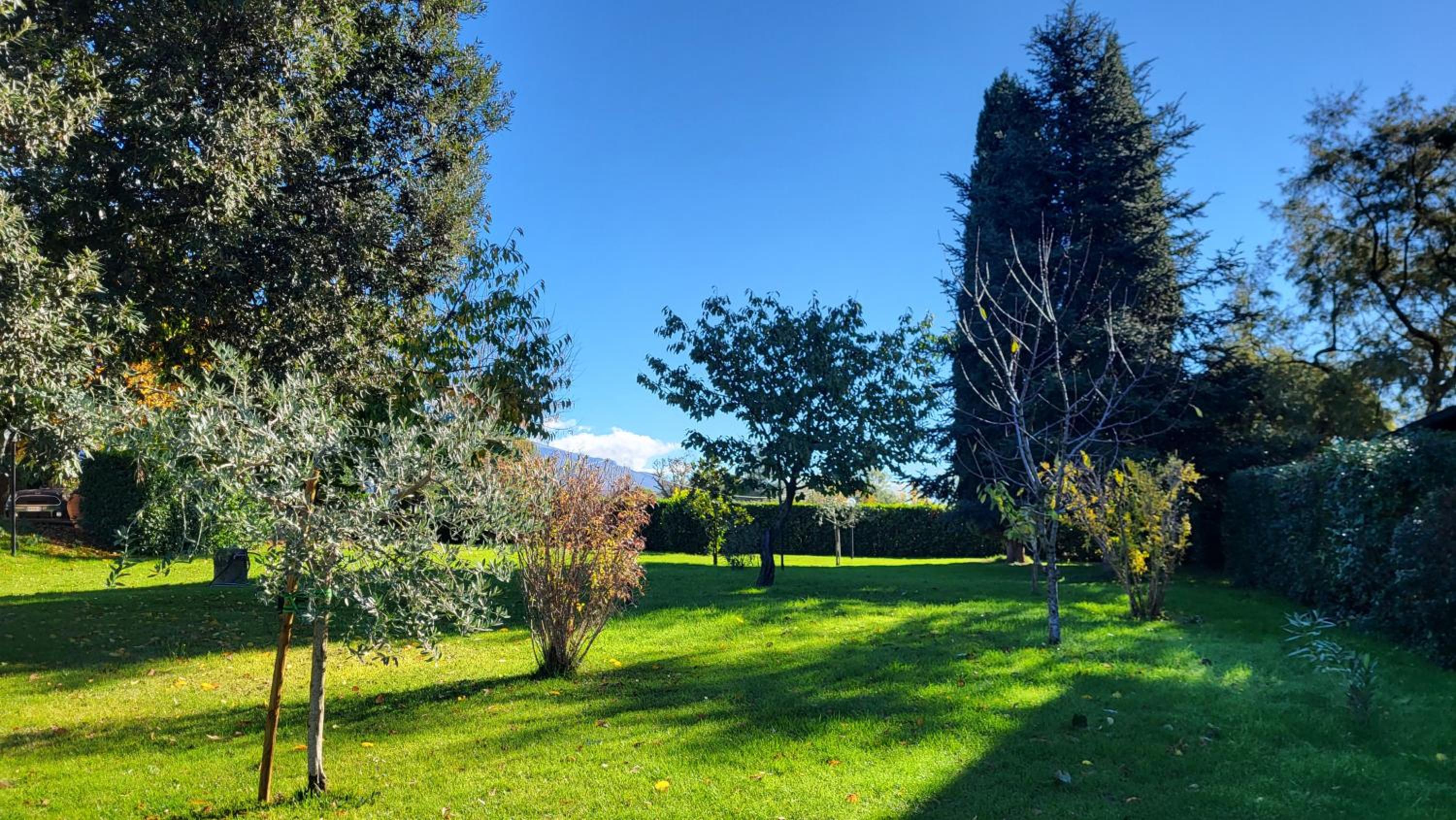 Le Case dell'Olmo