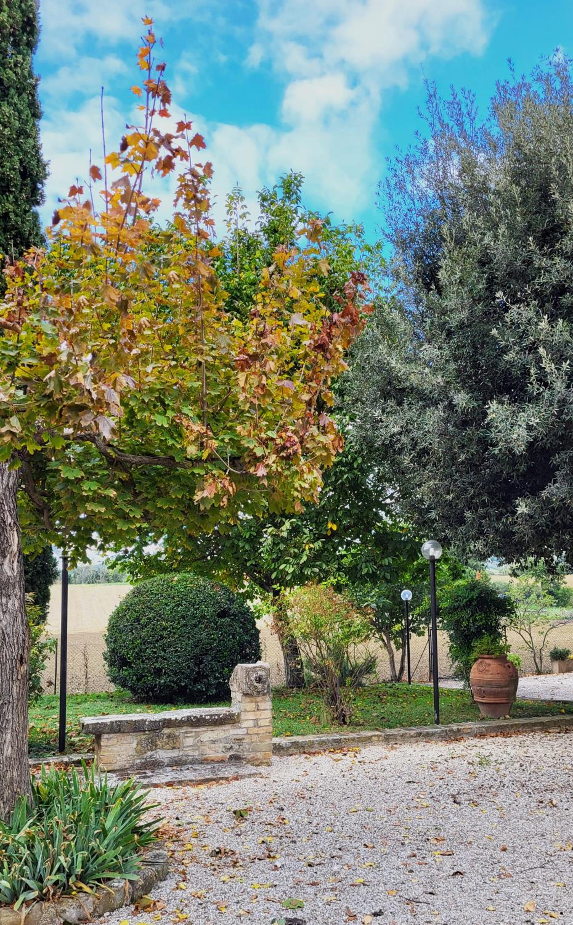 Le Case dell'Olmo en Assisi