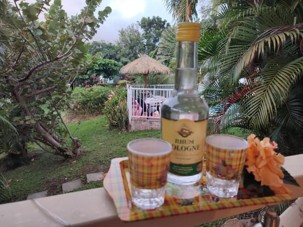 Gîte Ti Papiyon