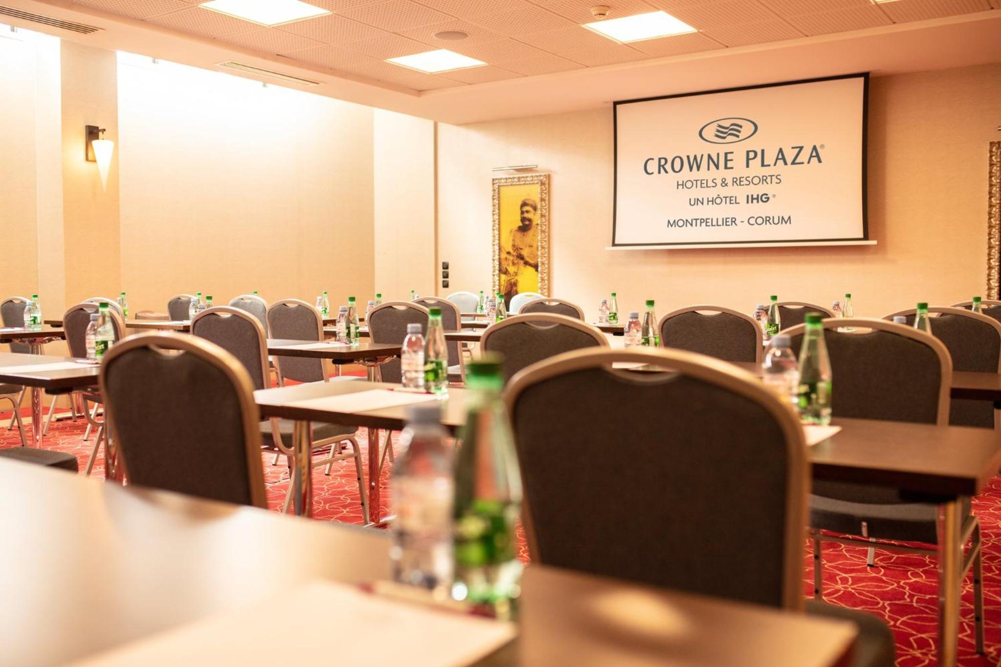 Montpellier Vacations - Crowne Plaza Montpellier Corum, an IHG Hotel - Property Image 47
