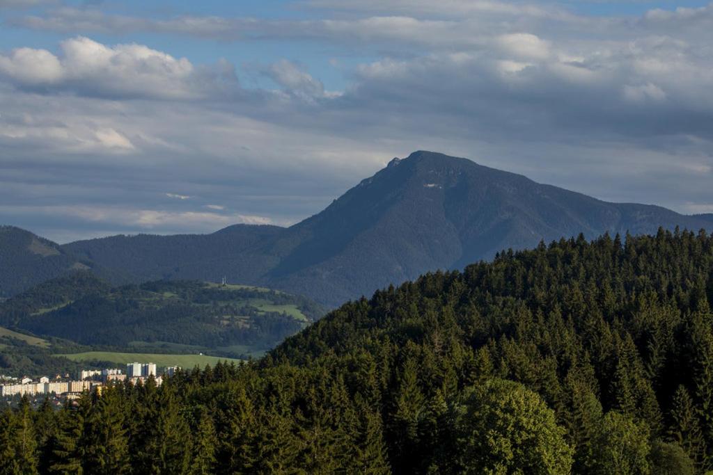 Apartmán Kubínska 33 view 3