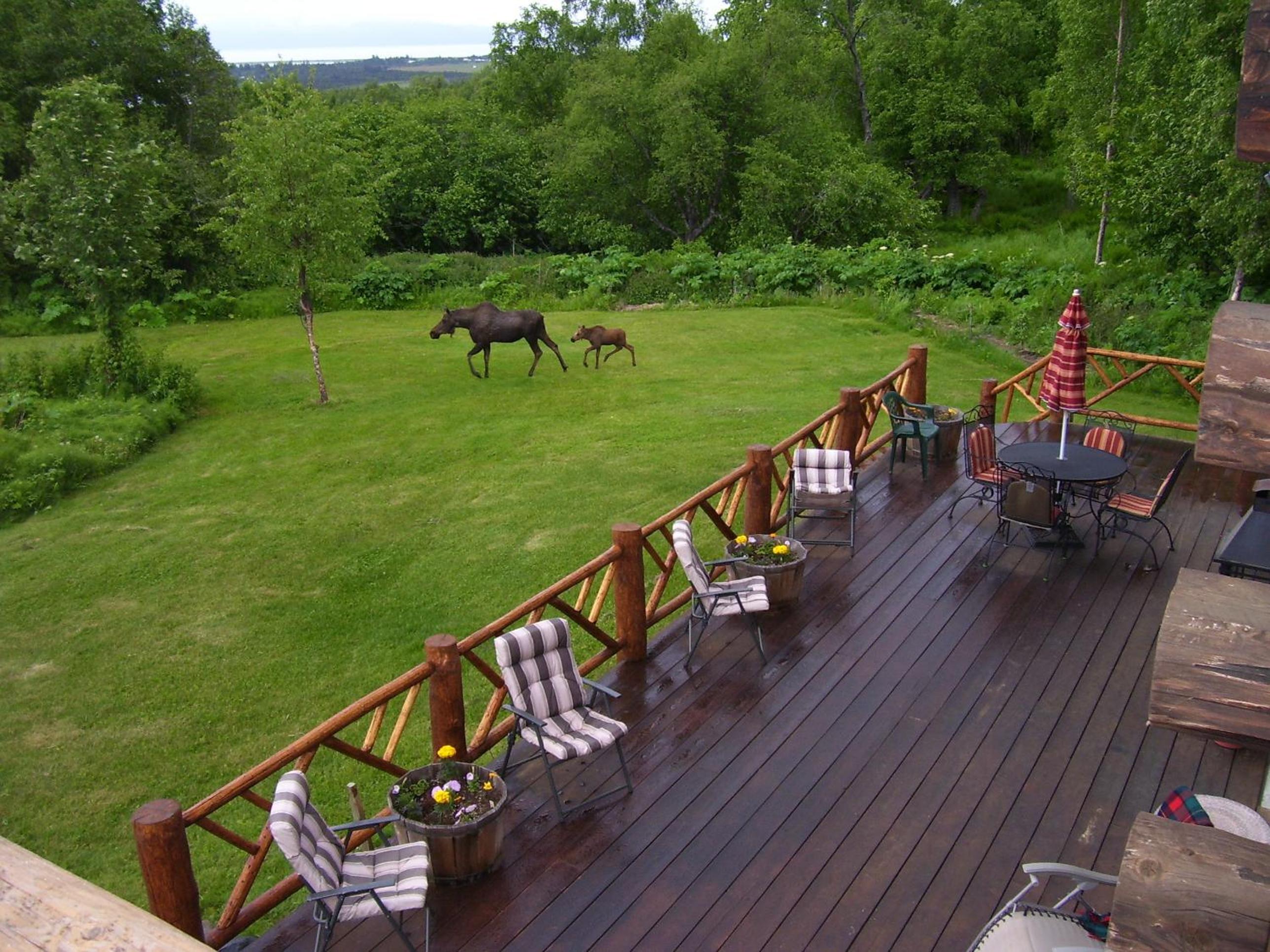 Juneberry Lodge