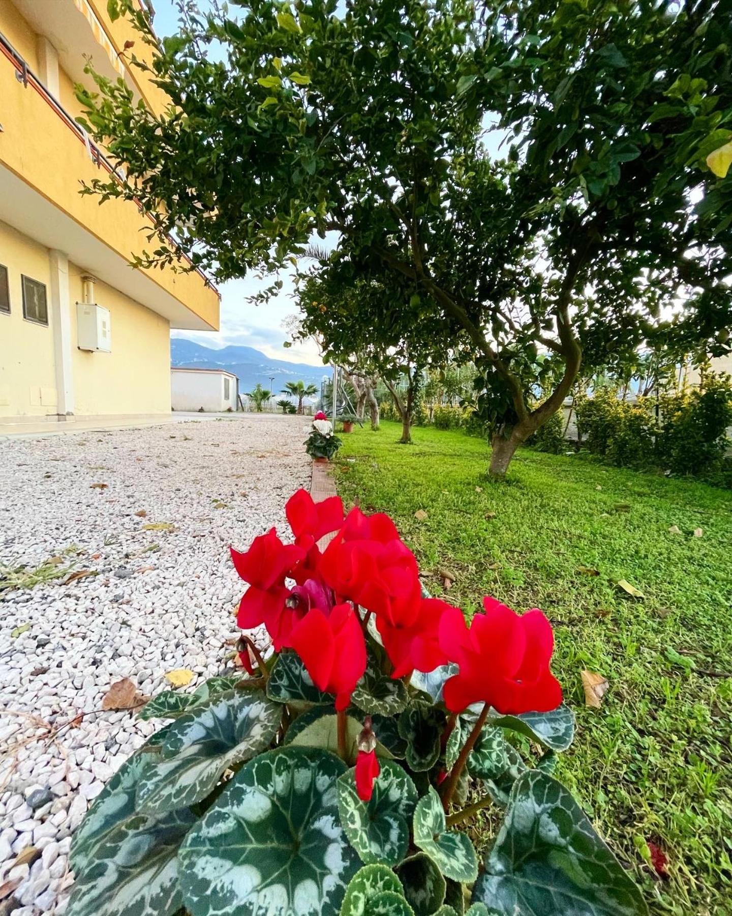 Casa Vacanze Paradise