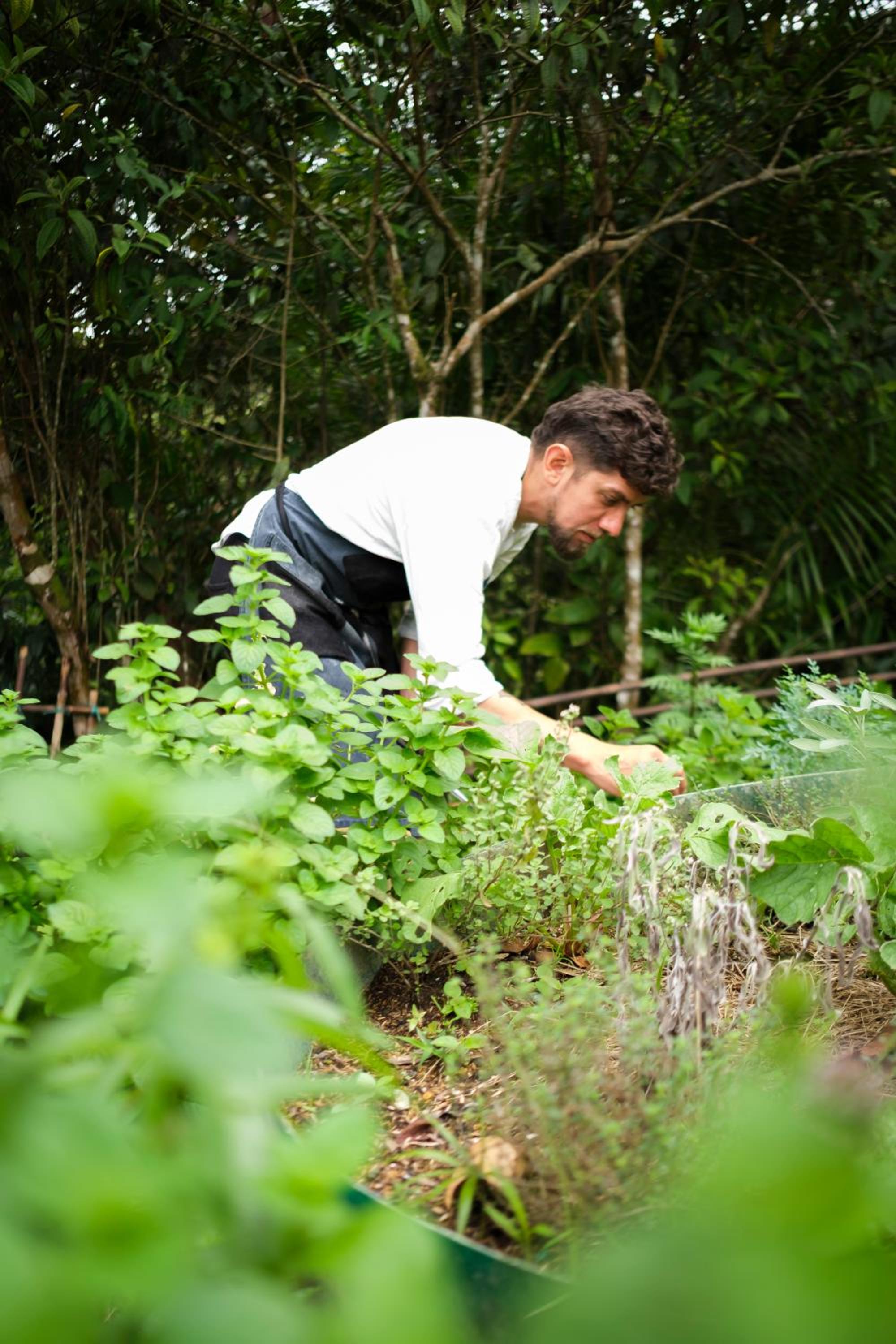 La Perla Negra Eco-Lodge & Hostel