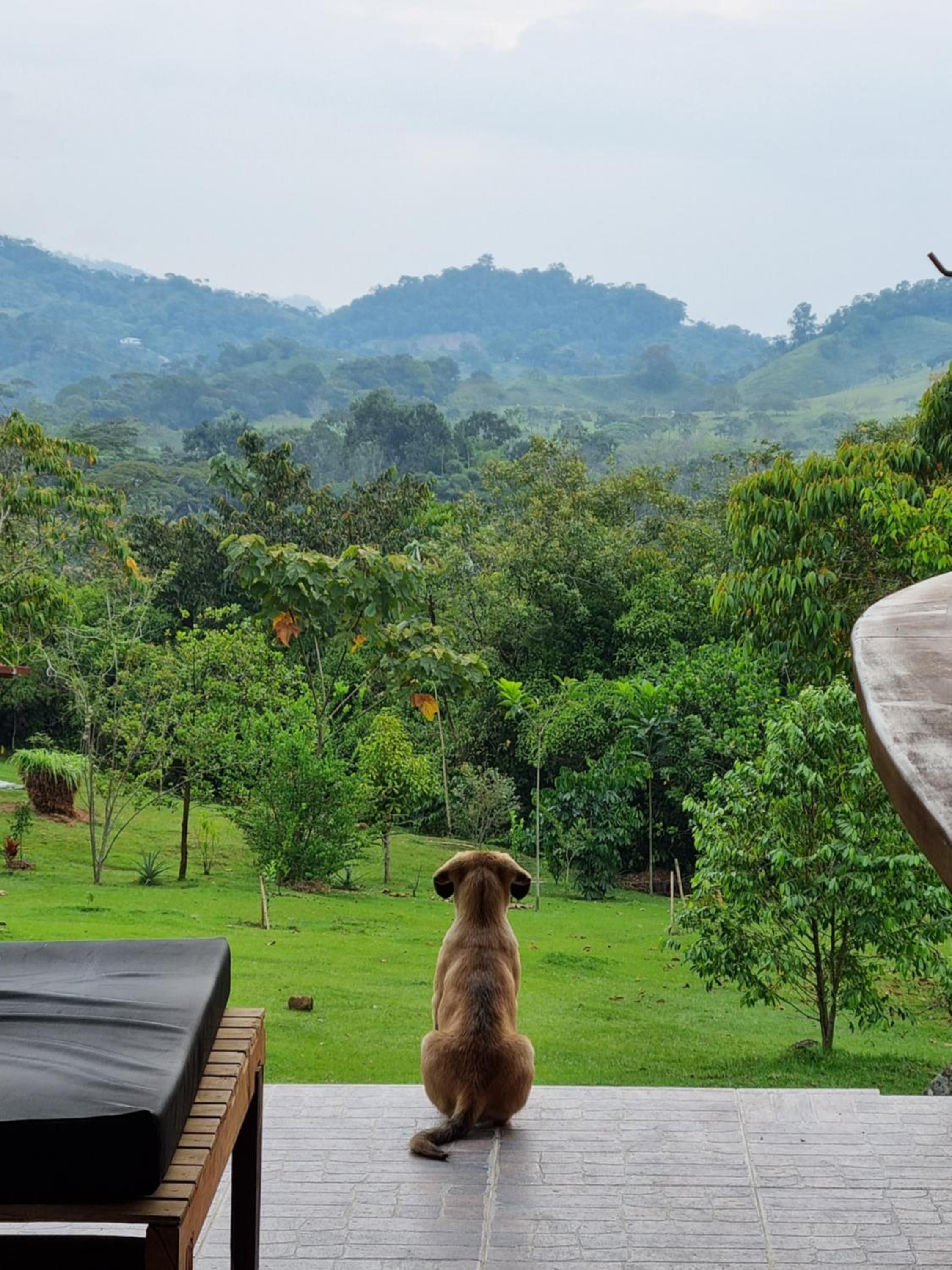 La Perla Negra Eco-Lodge & Hostel