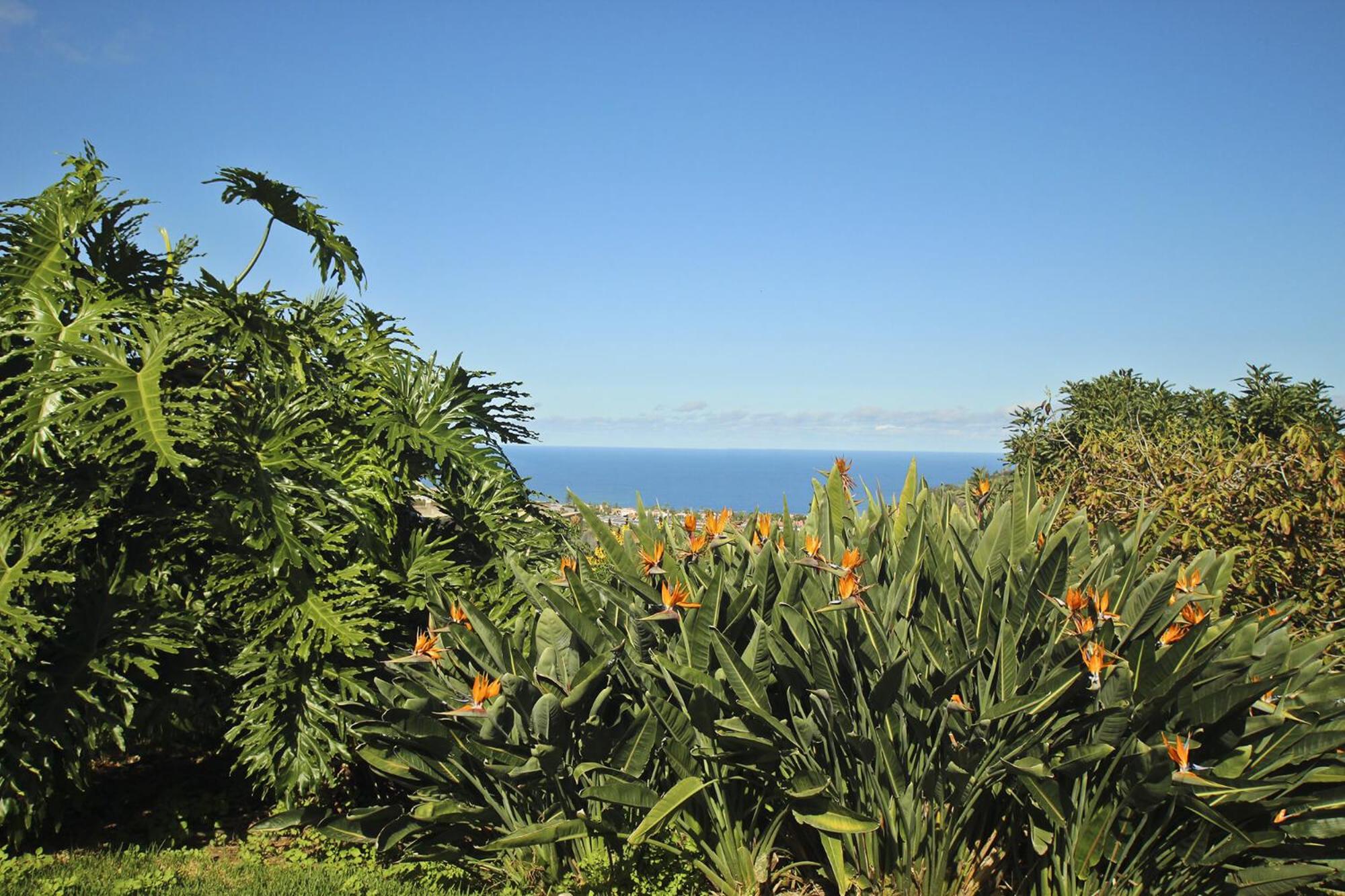 Finca Tocama