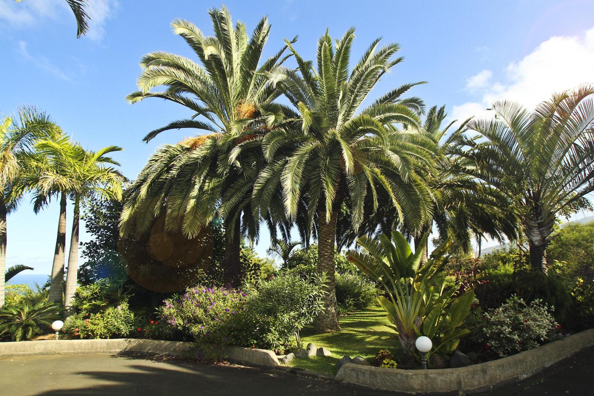 Finca Tocama