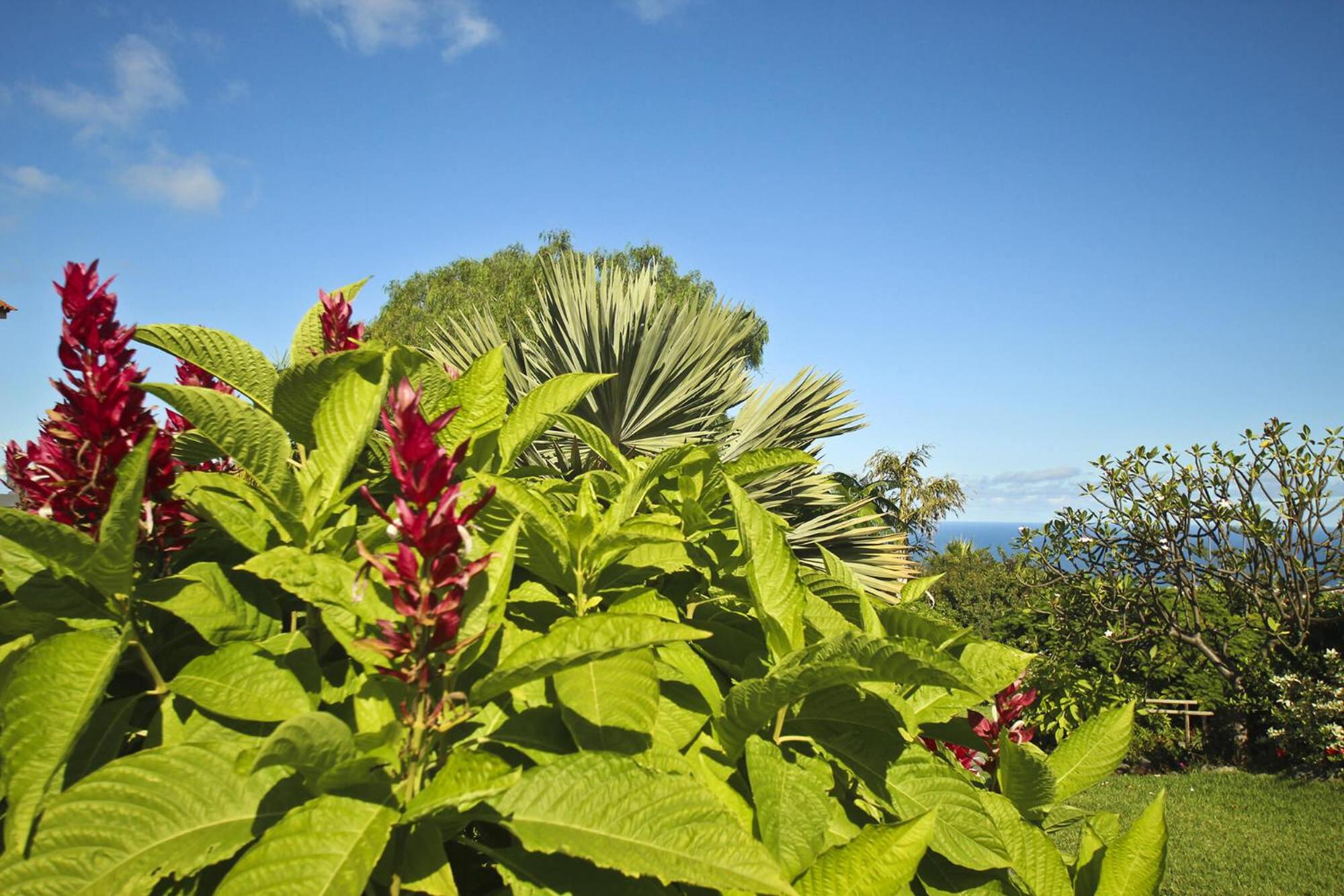 Finca Tocama