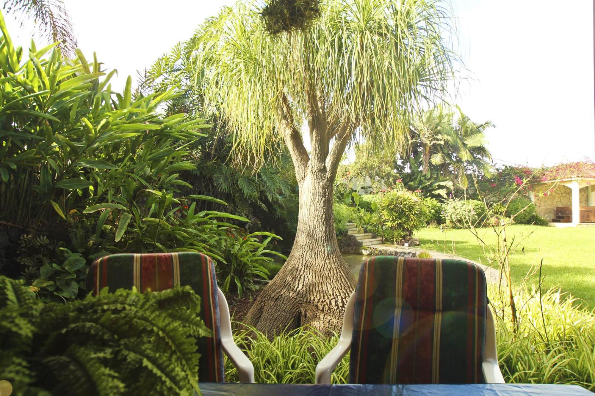 Finca Tocama