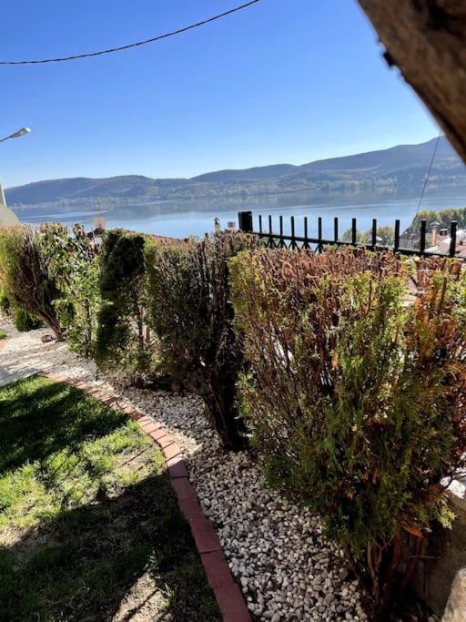 Belvedere garden