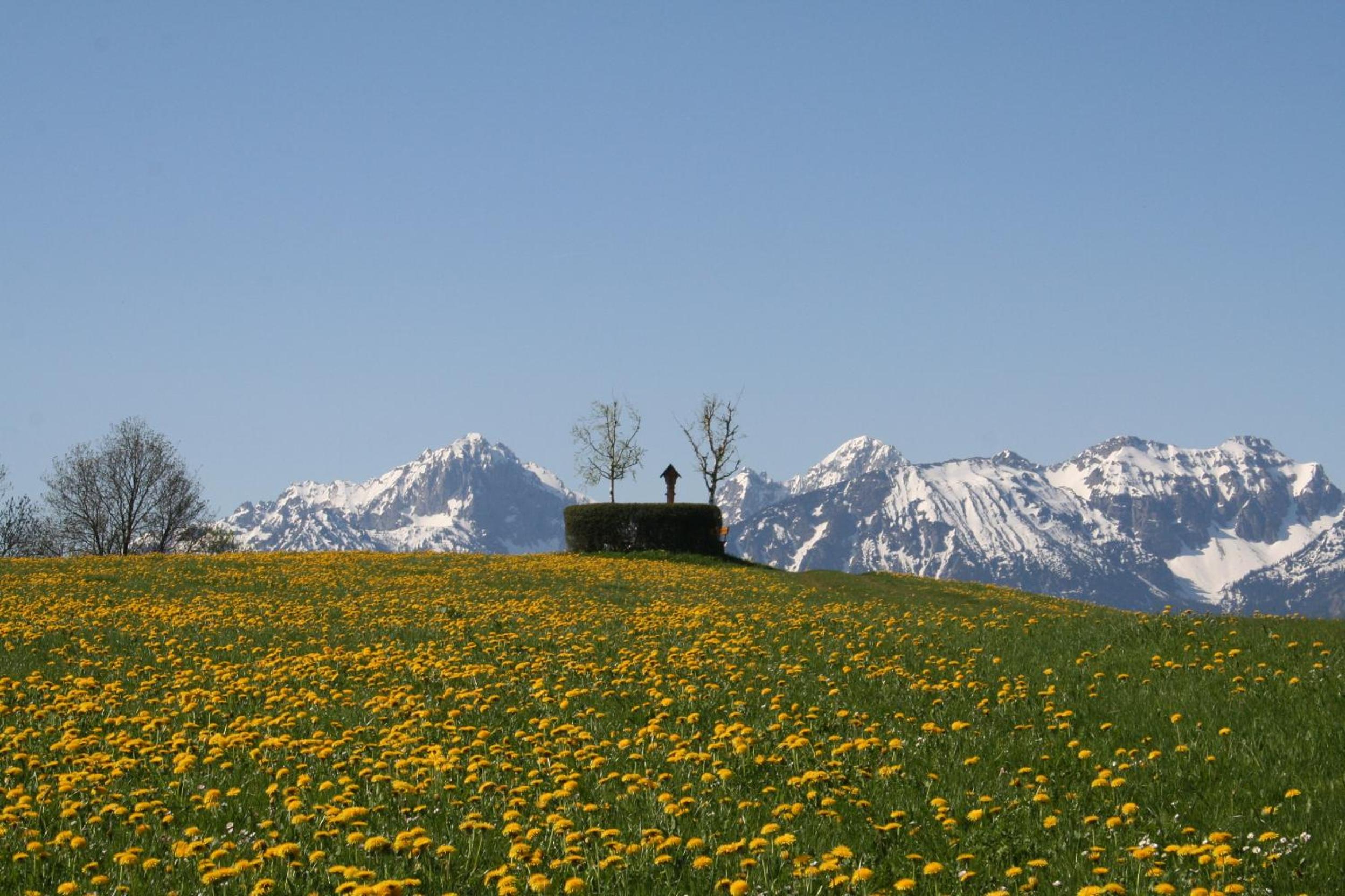 Salenberghof Ferienwohnung Traumblick
