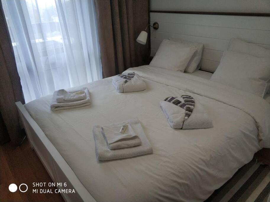 Bansko Vacations - Belvedere holiday club 106G - Property Image 21