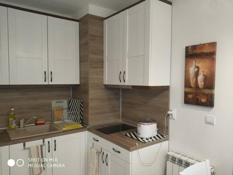 Bansko Vacations - Belvedere holiday club 106G - Property Image 18