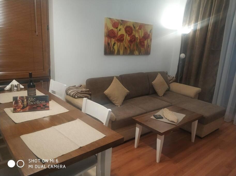 Bansko Vacations - Belvedere holiday club 106G - Property Image 17