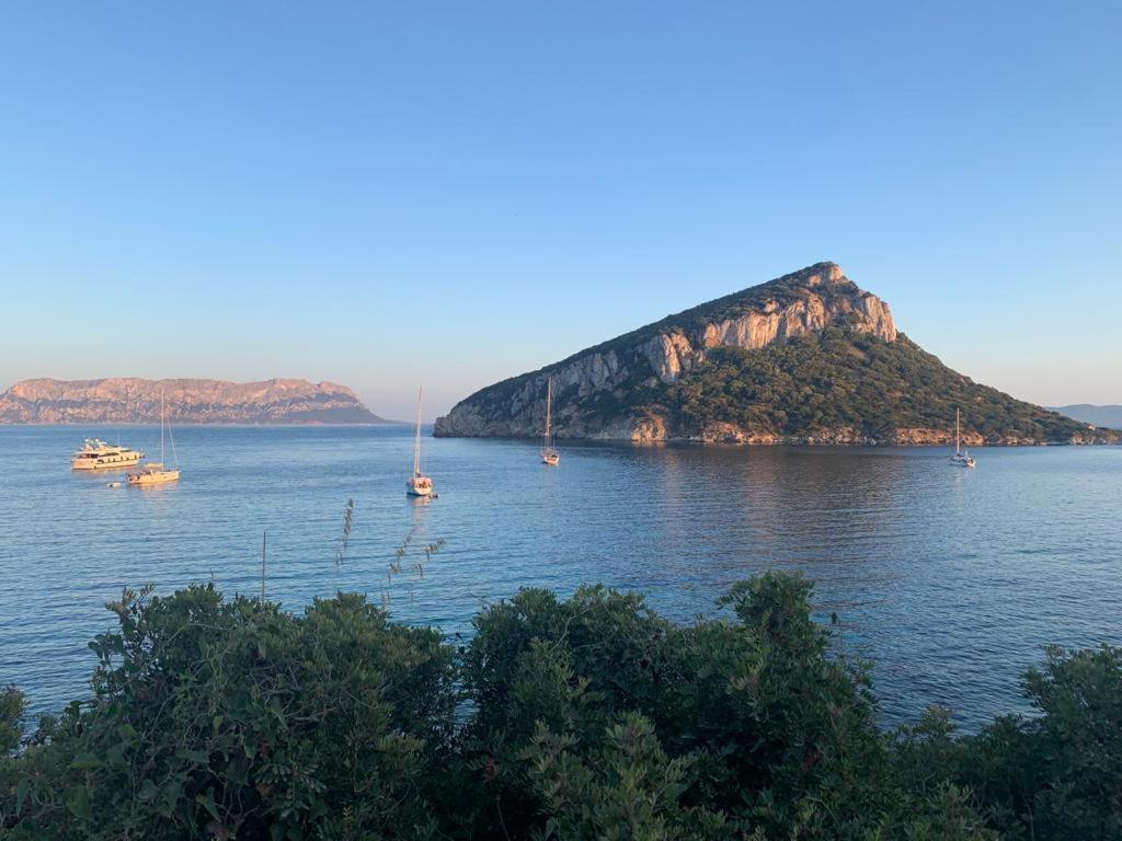 Appartamenti Le Primule