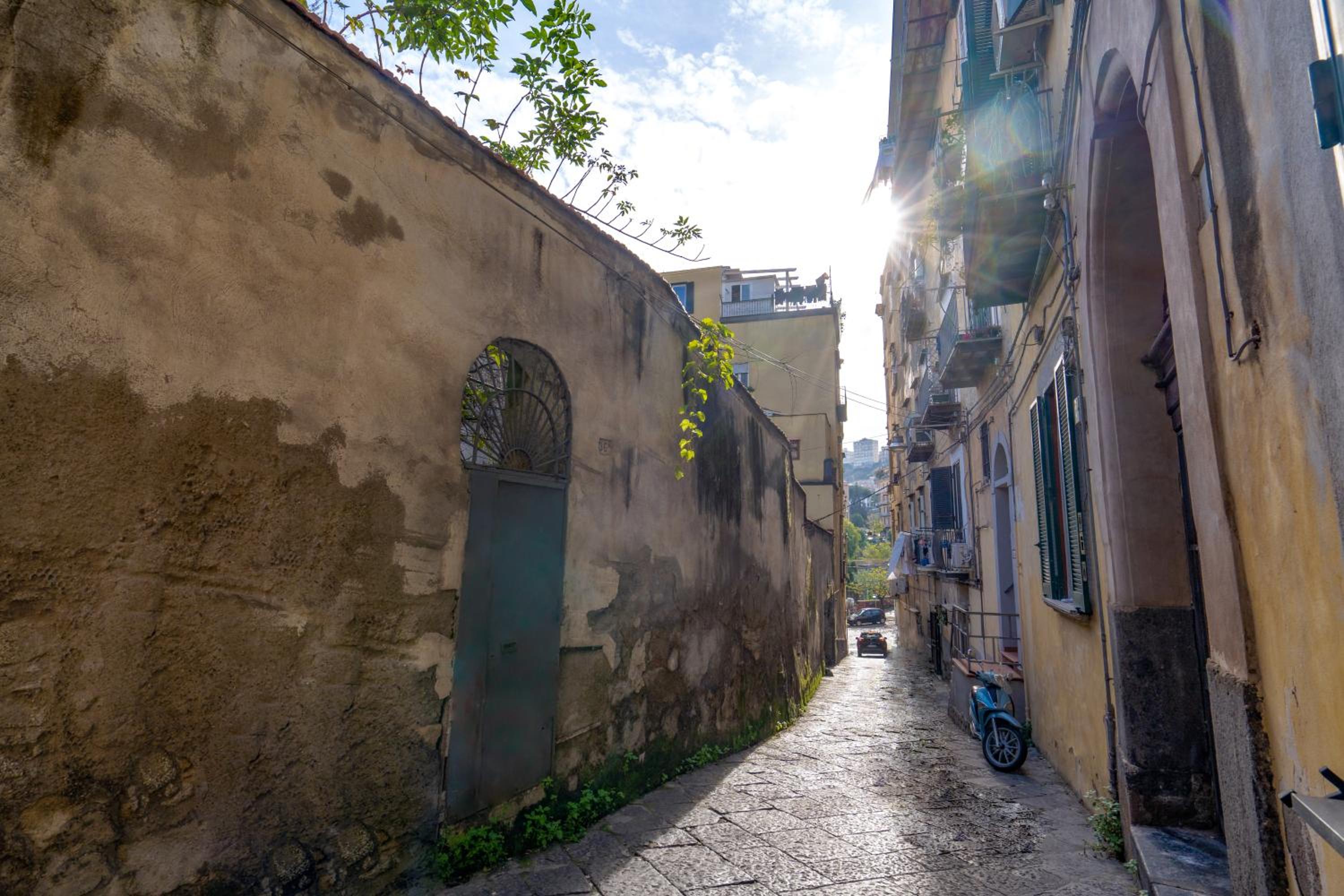 Into Vico