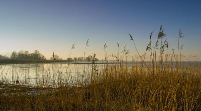 Bodensee Apartments, Sauna, Lake Walks, Free Parking, Self Checkin, Nature Reserve, Restaurants Nearby