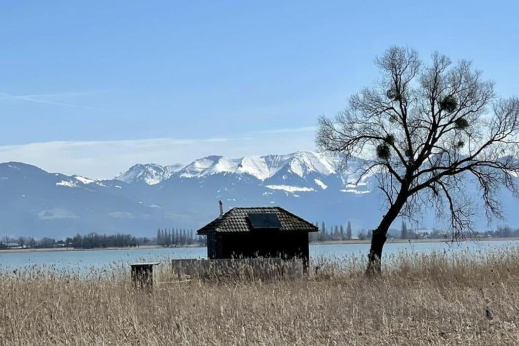 Bodensee Apartments, Sauna, Lake Walks, Free Parking, Self Checkin, Nature Reserve, Restaurants Nearby