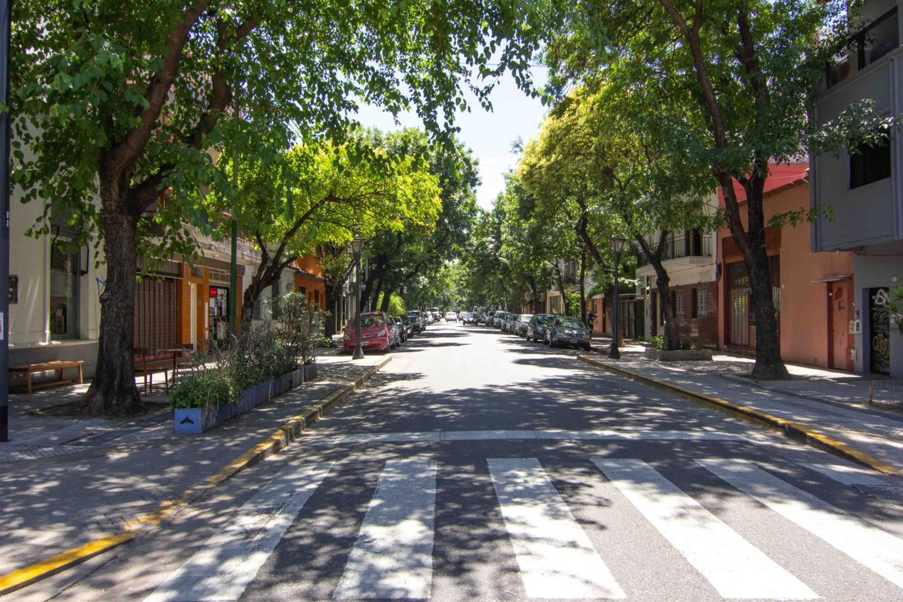 Explore Palermo Stunning Chic 