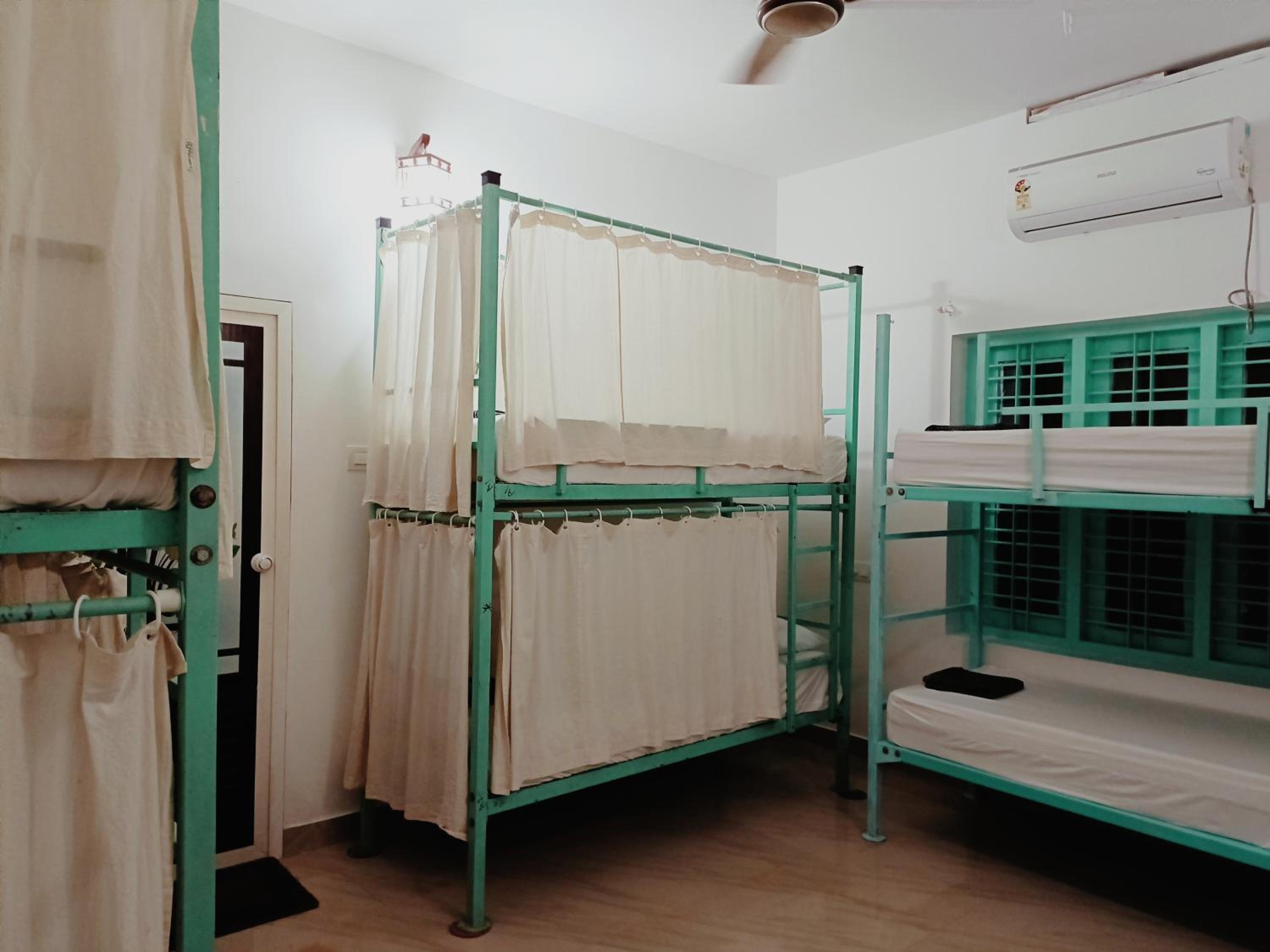 Molly's Hostel