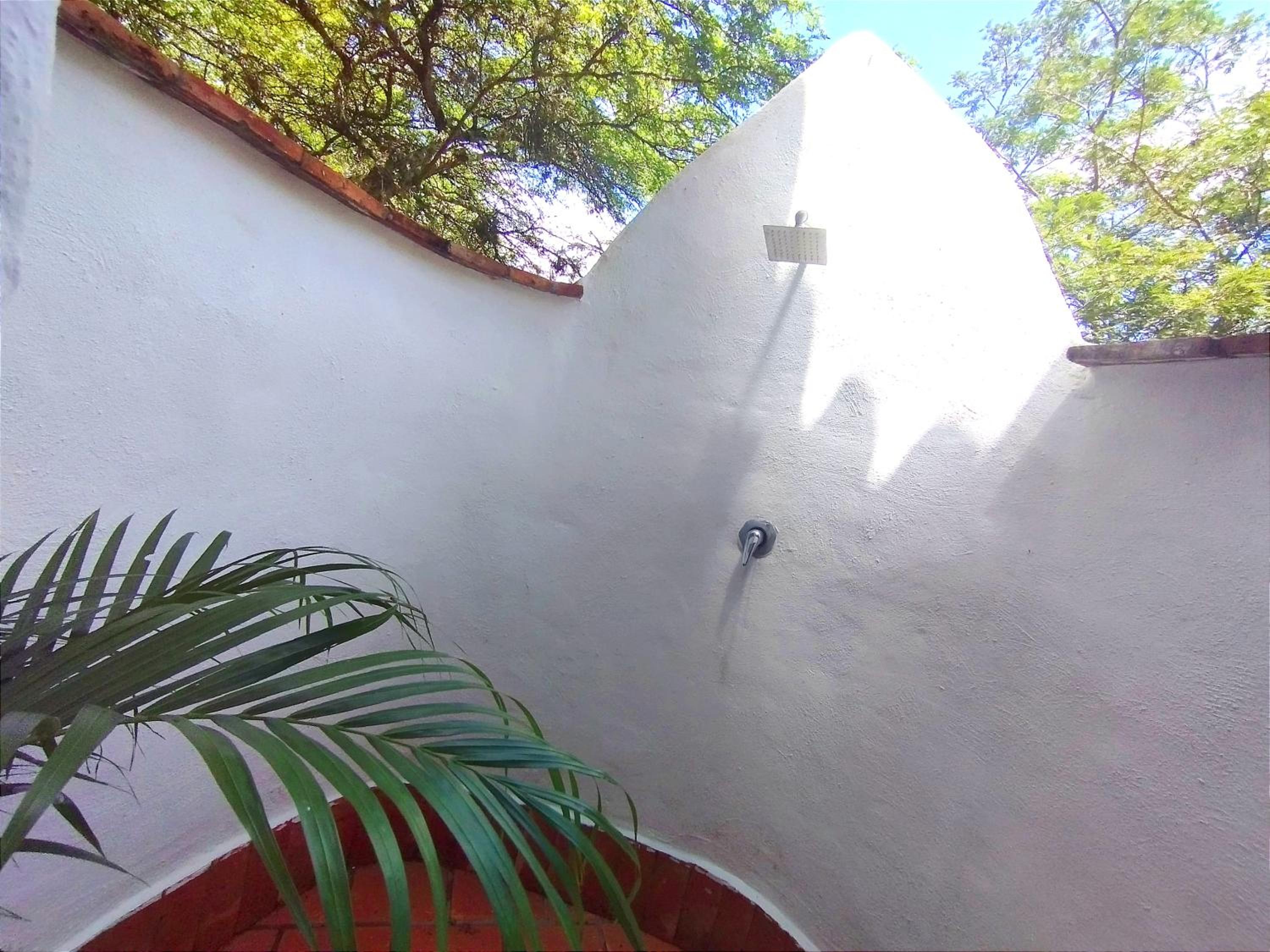 Photo 39